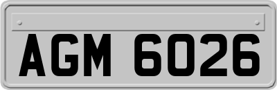 AGM6026