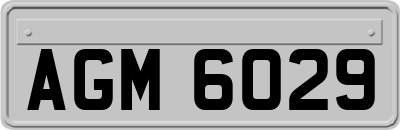 AGM6029