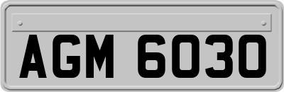 AGM6030