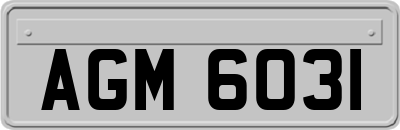 AGM6031