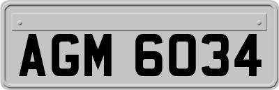 AGM6034