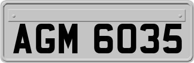 AGM6035