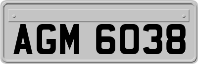 AGM6038