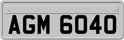 AGM6040