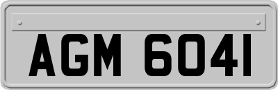 AGM6041