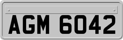 AGM6042