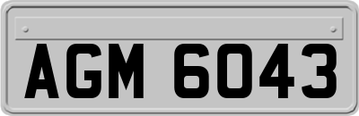 AGM6043