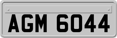 AGM6044