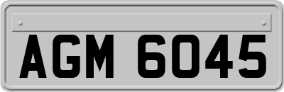 AGM6045
