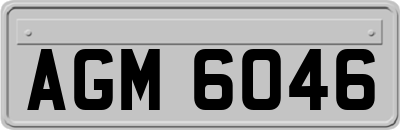 AGM6046