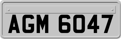 AGM6047