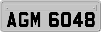 AGM6048