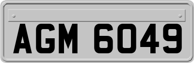 AGM6049