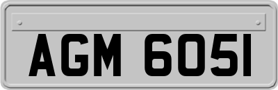 AGM6051