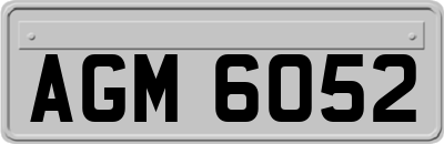 AGM6052