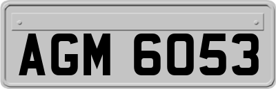 AGM6053