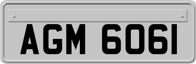 AGM6061