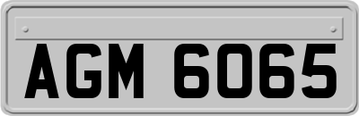 AGM6065