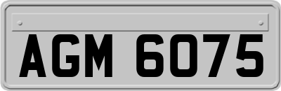 AGM6075