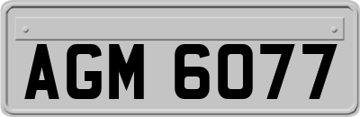 AGM6077