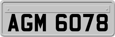 AGM6078