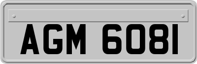 AGM6081
