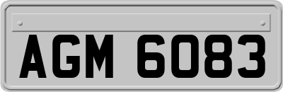 AGM6083