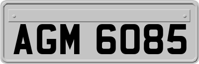 AGM6085