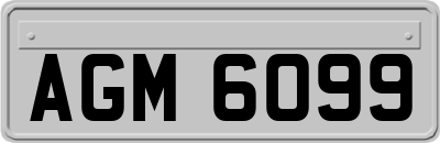 AGM6099