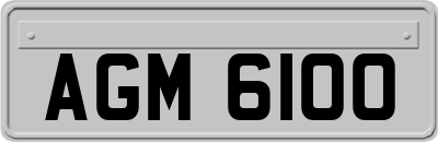 AGM6100