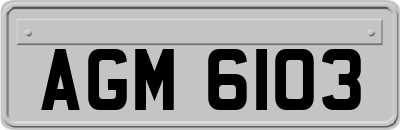 AGM6103