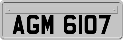 AGM6107