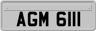 AGM6111