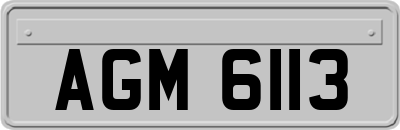 AGM6113