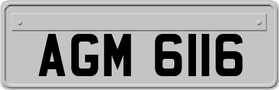 AGM6116