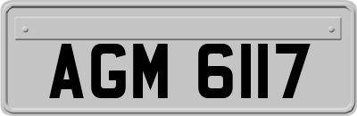 AGM6117