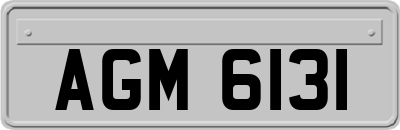 AGM6131