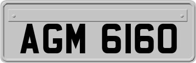 AGM6160