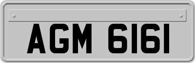 AGM6161