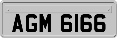 AGM6166