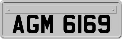 AGM6169