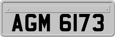 AGM6173