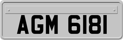 AGM6181