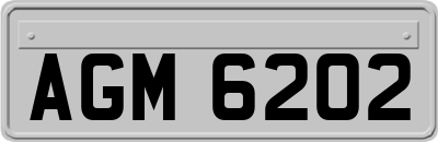 AGM6202