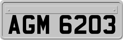AGM6203
