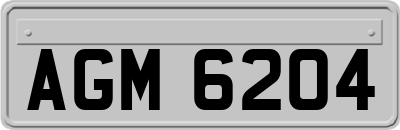 AGM6204