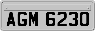 AGM6230