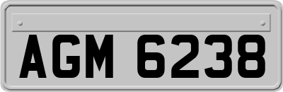 AGM6238