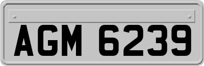 AGM6239