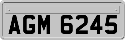 AGM6245